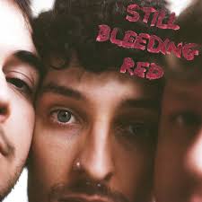 dark stars', the second single from our upcoming ep 'still bleeding red' is  out now👁️ stream the sh1t out of it so you can sing the words with us