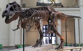 Free used date organic materials is useful in archaeology, carbon14 carbon. Evidence Of Evolution Boundless Biology
