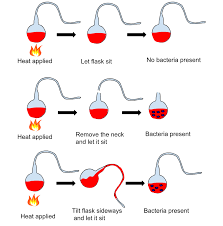File:Louis Pasteur Experiment.svg - Wikimedia Commons