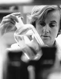 Honoring the Women of the Kimmel Cancer Center