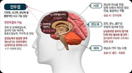 사춘기