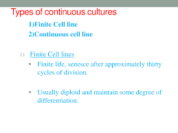 In addition, continuous cell lines may undergo certain changes (phenotypic and genotypic changes) which would result in discrepancies during analysis. Cell Secondary Culture Powerpoint Slides