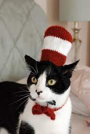 Hey It S The Cat In The Hat Pet Halloween Costumes Halloween Animals Cat Halloween Costume