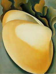 Tan Clam Shell Georgia Okeefe Georgia O Keeffe Georgia O Keeffe Paintings