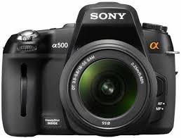 This Is How Good The Sony A7s Is With Low Light And High Iso