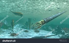 Image result for Orthopichonia