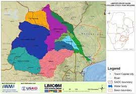 Image result for Fuirena pachyrrhiza