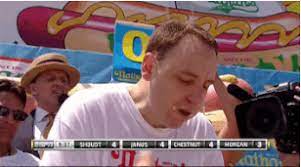 Mrw I Leave My Summer Job In 5 Days And I Realize I Can T Take Any Of The Food I Bought Home With Me Dog Eating Summer Jobs Epic Gif