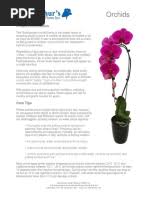 Image result for Summerhayesia zambesiaca