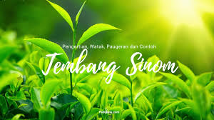 We did not find results for: 13 Contoh Tembang Sinom Beserta Arti Watak Dan Paugerannya