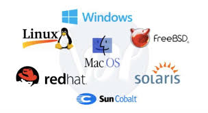 Ubuntu and mint are some of the most popular. 5 Best Free Operating Systems Of 2021 Viral Hax