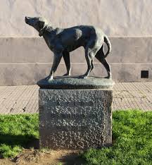 This list is full of classic & vintage inspired dog names to choose from. Fido Dog Wikipedia