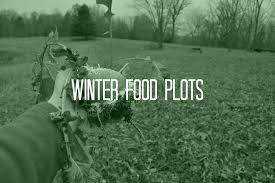 See more of blue 32 food plot fertilizer on facebook. 5 Best Winter Food Plots What Do Deer Eat Deergro Food Plot Spray