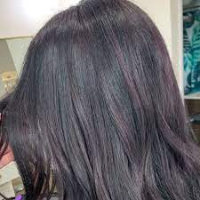 Deep purple balayage on jet black hair. 25 Dark Purple Hair Color Ideas