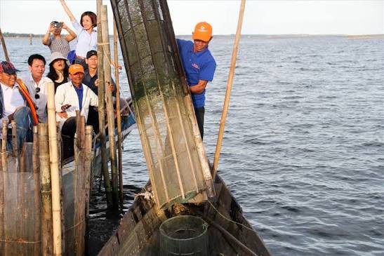 Trải nghiệm làm ngư dân trên phá Tam Giang