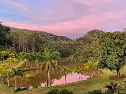 Cobertura ao vivo, tabela de jogos e classificação, artilheiros, vídeos e mais. Sitio Lugar De Paz Santa Teresa Aktualisierte Preise Fur 2021