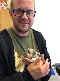 Hello, my name is Pug-A-Lou nice to meet you 🫶 #11weeksold