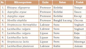 Science Club Mikroorganisme Yang Berperan Dalam Pembentukan Makanan Dan Minuman