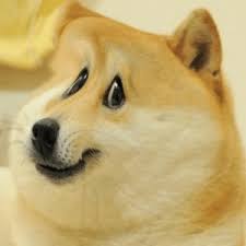 Here you can find the best doge meme wallpapers uploaded by our community. Doge Meme Templates Imgflip Doge Meme On Me Me
