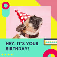 Images tagged happy birthday puppies. Happy Birthday Dog Gifs Get The Best Gif On Giphy