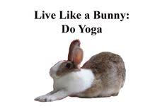 My Bunny Doing The Downward Dog Yoga Pose Downward Dog Yoga Downward Dog Yoga Pose Dog Yoga