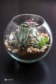 Best 12 Gardening 80th Birthday Cake American Resources Mortgage Gardening Club Members Yandere Succulent Terrarium Diy Succulent Terrarium Succulents Diy