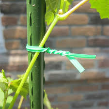 Få 13.714 endnu en organic pumpkin vine with yellow stockvideo på 29.97 fps. Garden Plastic Flower Cable Tie Wire Vines Fastener Tied Plant Vegetable Grafting Clips Agricultural Greenhouse Supplies Plant Cages Supports Aliexpress