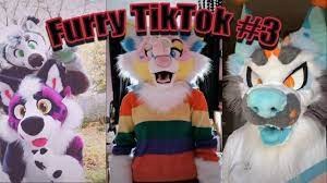Furry Tik Tok Compilation #3 - YouTube