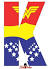 Theme Wonder Woman Decorations