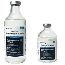 Gentamicin injection is used to treat certain serious infections that are caused by bacteria such as meningitis (infection of the membranes that surround the brain and spinal cord) and infections of the blood, abdomen (stomach area), lungs, skin, bones, joints, and urinary tract. Gentamicin Sulfate Injectable Solution