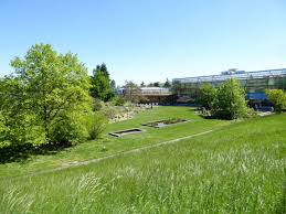 Liebe besucherinnen und besucher, herzlich willkommen im botanischen garten! Eine Inspiration Fur Asienliebhaber Der Botanische Garten In Wurzburg Polia Imperial Feng Shui Bazi Von Monika Seebacher