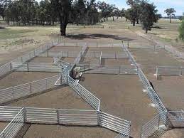 We did not find results for: Corral Designs Posts Facebook