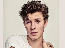 Você Conhece Mesmo O Shawn Mendes?