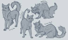 Climb Warrior Cat Memes Warrior Cat Drawings Warrior Cats Books