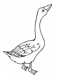 When a child colors, it improves fine motor skills, increases concentration. Angry Goose Coloring Page Netart