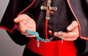 The sacred college of cardinals of the holy roman church is the electoral college of the papacy papacy, office of the pope, head of the roman catholic church. Exploring Red Cardinal Biblical Meaning And Symbolism Lovetoknow