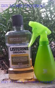 Stay At Home Pinterest Mommy Diy Mosquito Spray