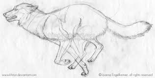 Animals, mammals, canis lupus, wolves, running. Pin On Tattoo