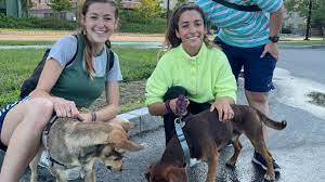 Raisman's past still informs the way she approaches every day, though. Aly Raisman S Dog Mylo Found Safe After Near Week Long Search