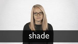 Danh từ giống đực (không đổi). French Translation Of Shade Collins English French Dictionary