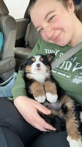 Post your Berner's best “tongue out” pic! 😛