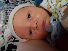 Image result for Harlequin Color Change