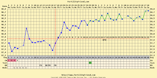 Bbt Charting For Beginners My Ttc Journey Into Madness