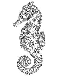 This seahorse coloring pages will helps kids to focus while developing creativity motor skills and. Seahorse Coloring Pages Worksheets Teaching Resources Tpt