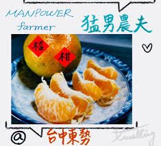 猛男農夫椪柑，別看我其貌不揚，我可是台中東勢最好吃的橘子