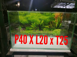 Dan kcl sebanyak 100/60 x 150 = 250 gram. Akuarium Kaca Aquascape Polos Ukuran P40 X L20 T25 Lazada Indonesia