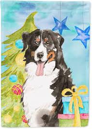 Caroline dell' Albero di Natale tesori CK1889CHF Bernese Mountain Dog  Bandiera House in Tela Dimensioni, Grande : Caroline's Treasures:  Amazon.it: Giardino e giardinaggio