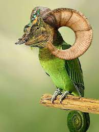 Epic glow art photoshop action (atn) adding glow to your nature and animal photos can create dreamy effects like the one seen below. Cool Photoshop Animals Gallery