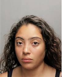 ᐅ Illinois Criminal Records 2009-2025