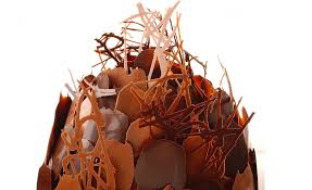 Buisson Chocolat Praline Par Alain Ducasse Recette Chocolat Praline Chocolat Praline
